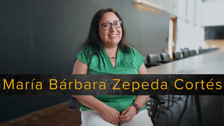 Zepeda Cortés Instances