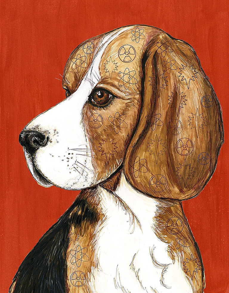 Atomic Beagles teaser