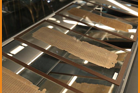 Torallas Tovar papyrus exhibition