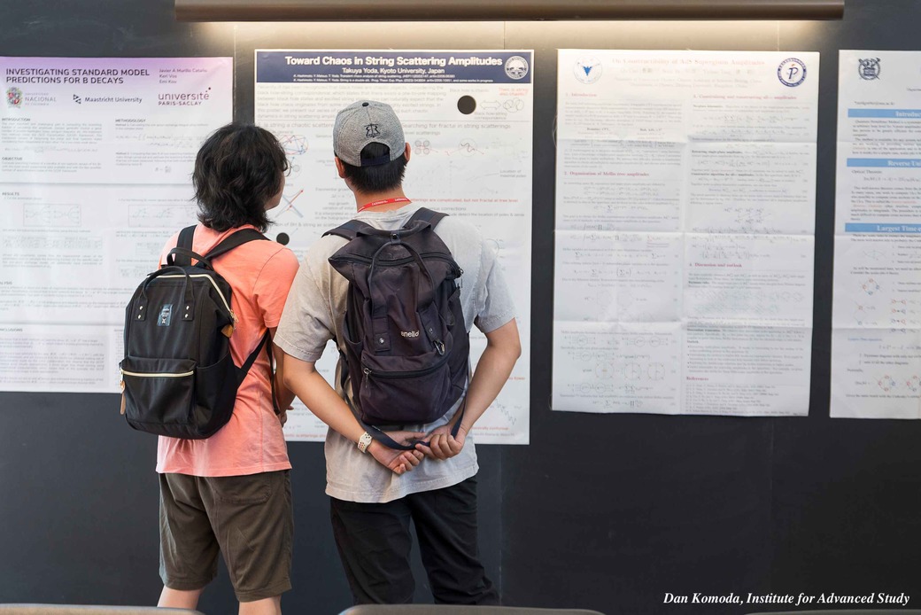 Amplitudes Summer School- Poster Session 2