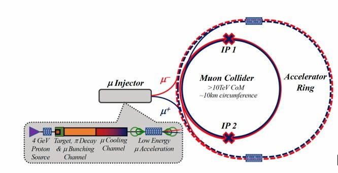 TeV Muon Collider Graphic