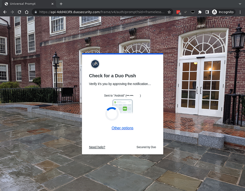 A Duo Push prompt with an "Other options" link in the middle.